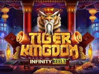 Tiger Kingdom screenshot
