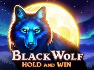Black Wolf screenshot